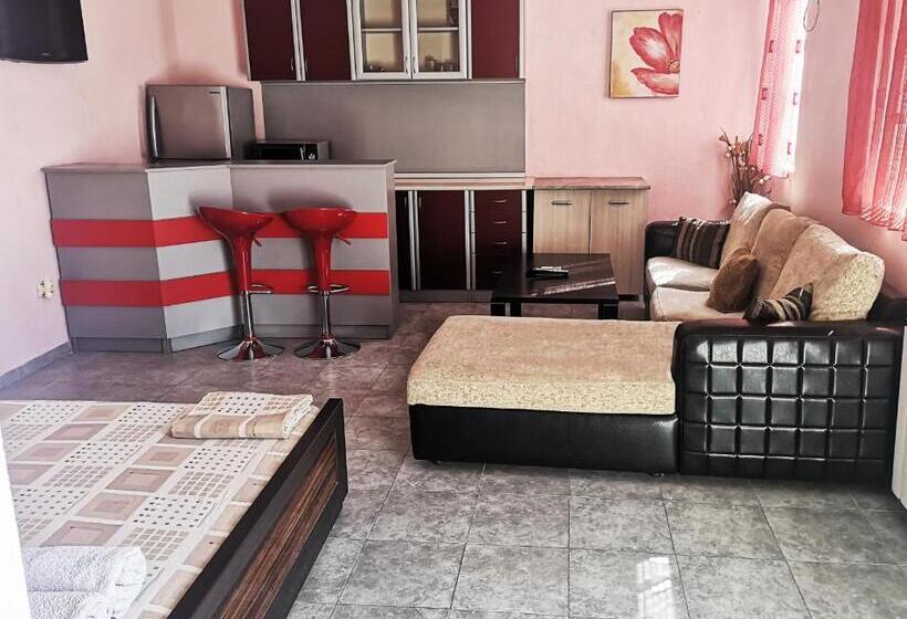 标准工作室, Merilyn Petrich