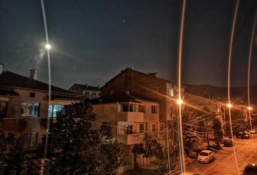 四人标准间, Merilyn Petrich