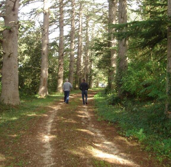 غرفة قياسية رباعية, Presbytère D Arpentian