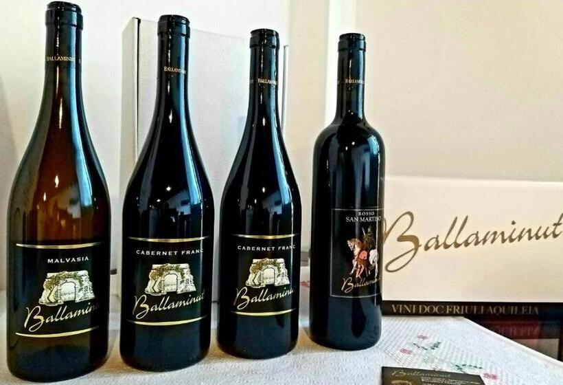 Номер Стандарт Вид на Сад, Agriturismo Ballaminut