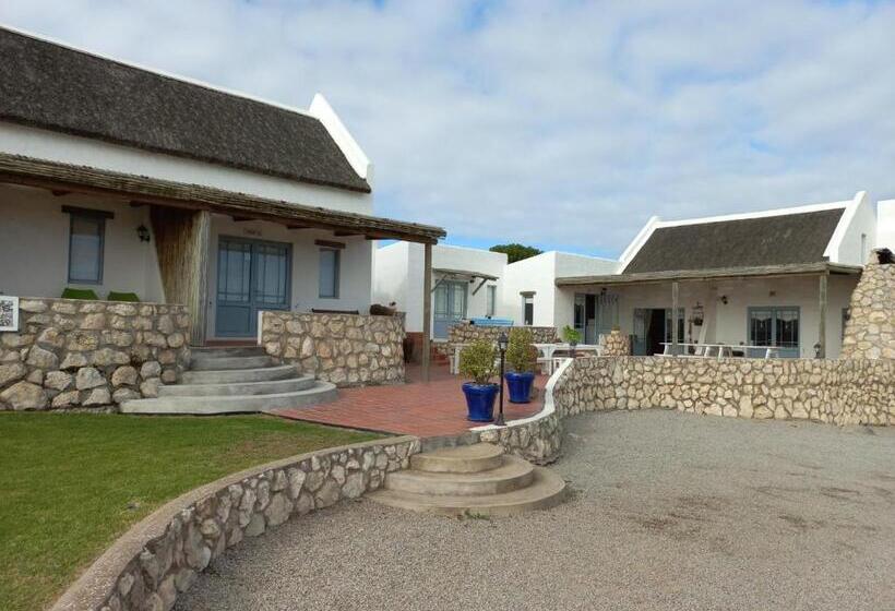 غرفة قياسية مطلّة علي البحر, Abalone Guesthouse