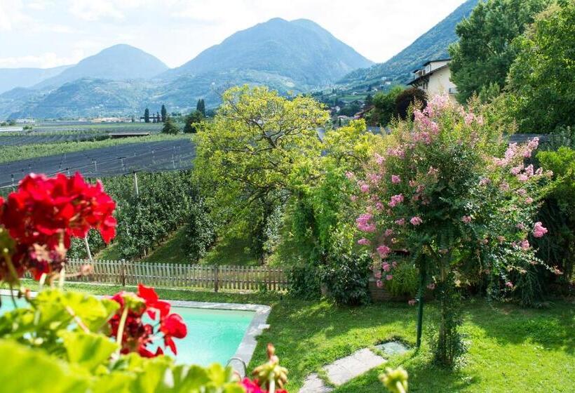 סוויטה, Pension Georgenhof