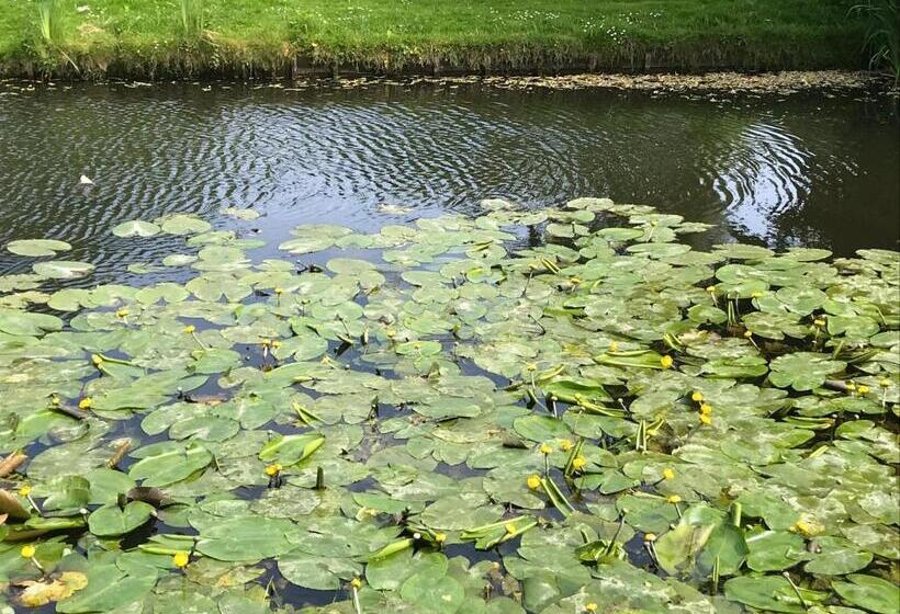 豪华房间, 84huis