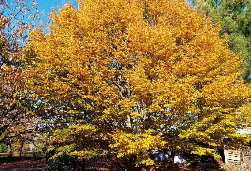 标准间带游泳池, L Eden Naturiste Spas