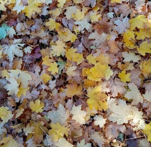 标准间带游泳池, L Eden Naturiste Spas