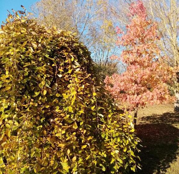 标准间带游泳池, L Eden Naturiste Spas