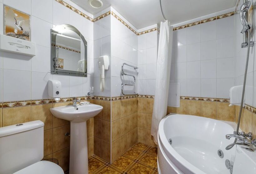 استودیوی استاندارد, Amaks Park