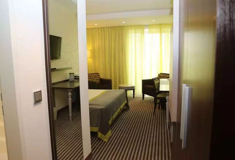 デラックスルーム, Ambassador Hotel Kaluga