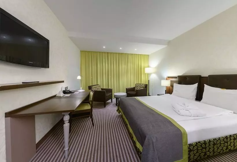 デラックスルーム, Ambassador Hotel Kaluga