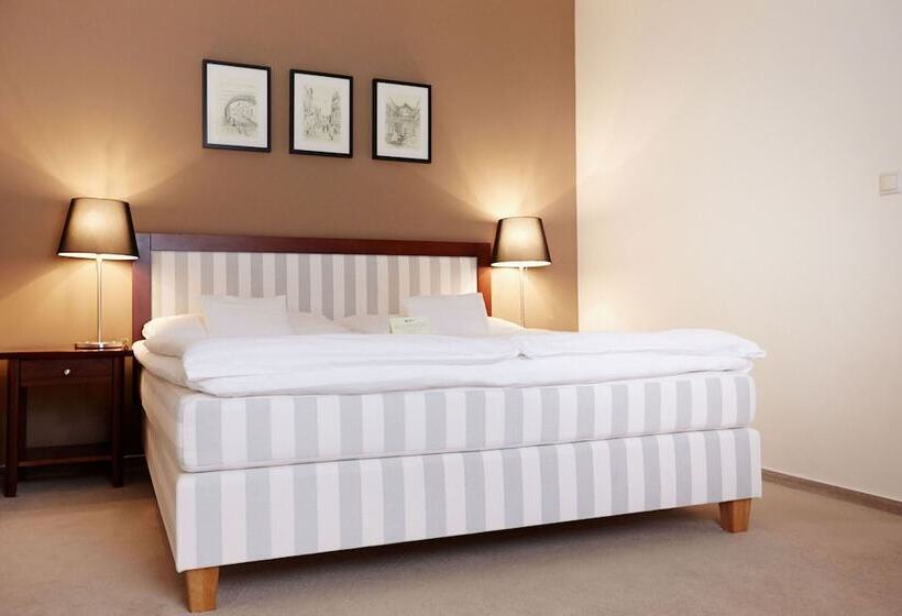 اتاق استاندارد, Boutique Hotel Bristol