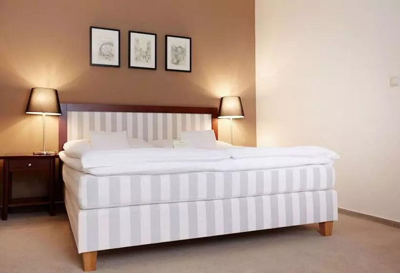 اتاق استاندارد, Boutique Hotel Bristol
