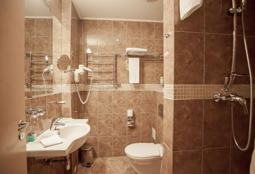 اتاق استاندارد با چشم‌انداز شهر, Kaiserhof