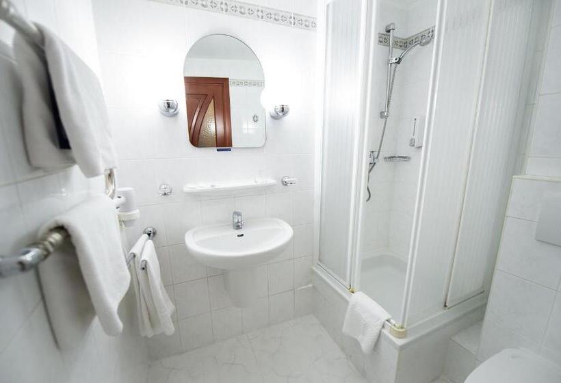 Standard-huone, Salute