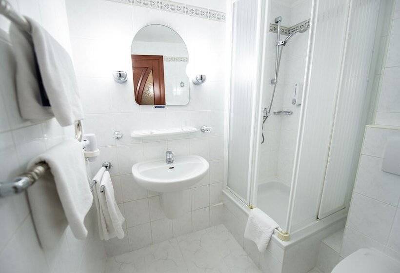 Standard-huone, Salute