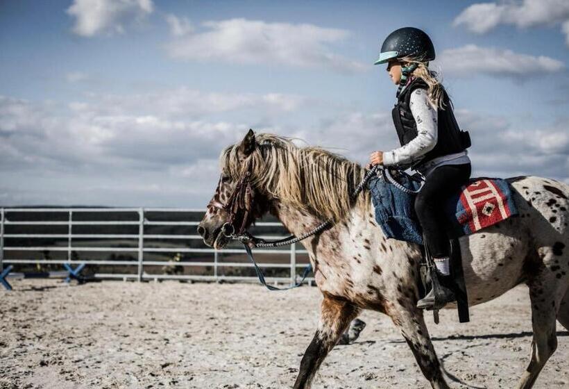 جناح 3 غرف نوم, Výhledna