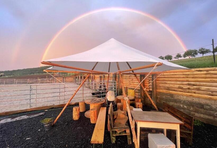 جناح 3 غرف نوم, Výhledna