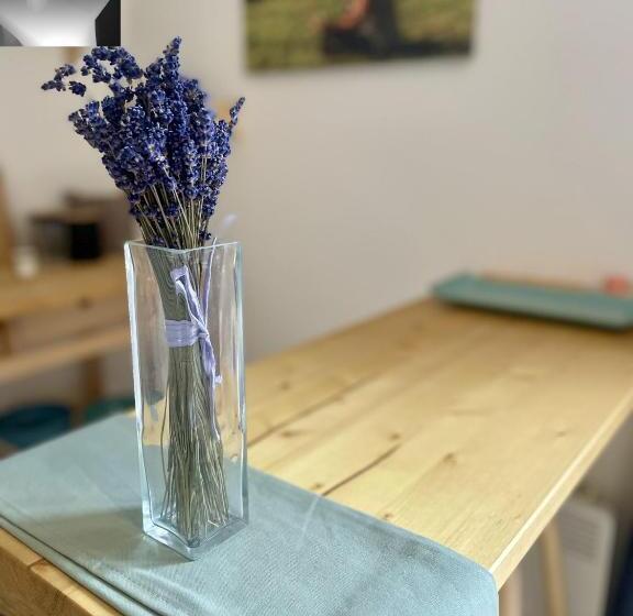 إستوديو قياسى مطلّ علي الحديقة, Výhledna