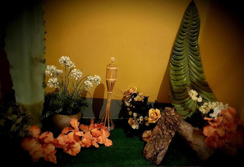 经济四人间 - 带共用浴室, Shabby Chic