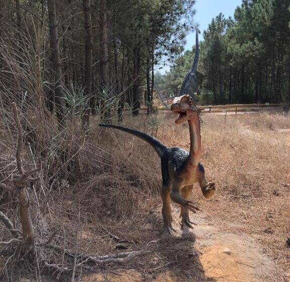 חדר סטנדרט, Terra Luso Proche De Montejunto