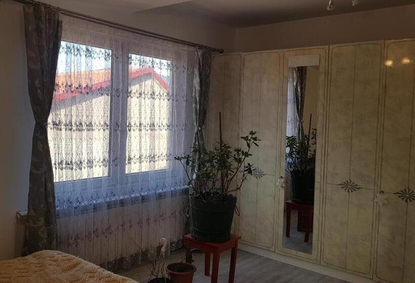 Номер Стандарт Совместная Ванная, Casa Cojanu