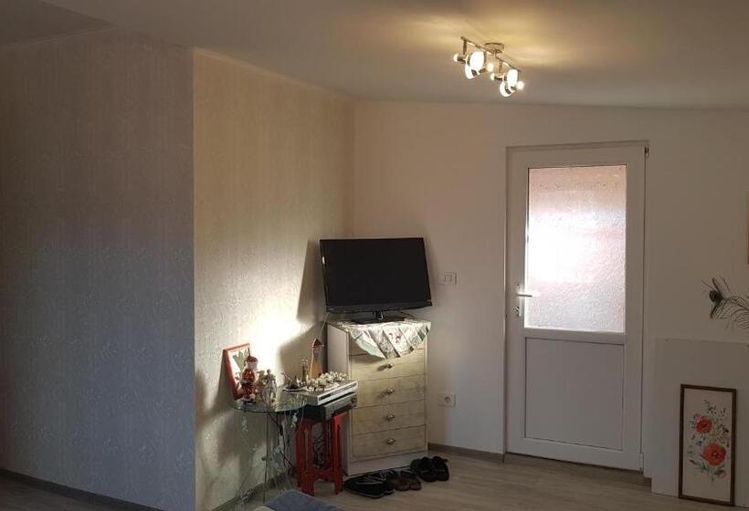 חדר סטנדרט חדר אמבטיה משותף, Casa Cojanu