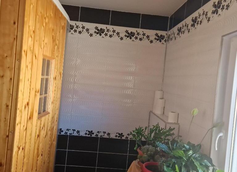 חדר סטנדרט חדר אמבטיה משותף, Casa Cojanu