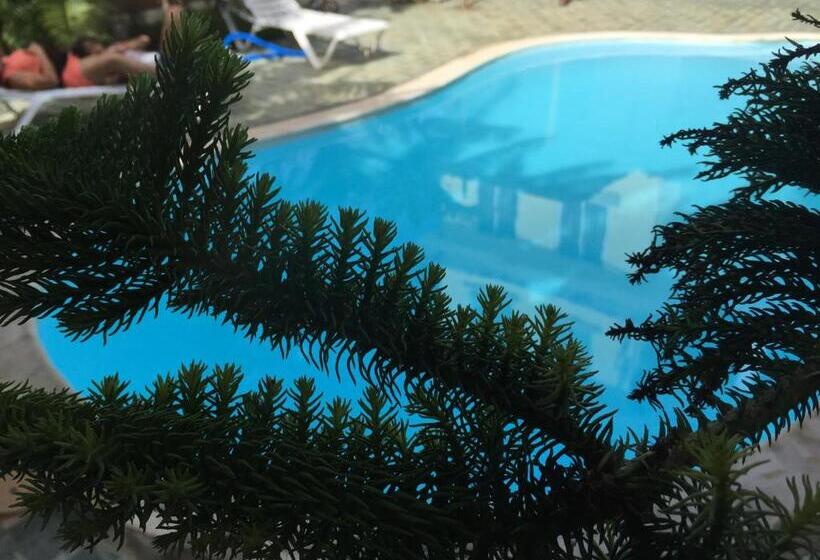 اتاق استاندارد با چشم‌انداز استخر, Pereybere Villa Valari With Pool Near Beach
