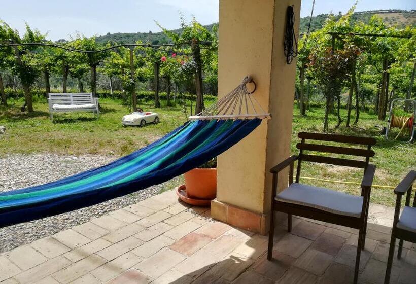 Номер Стандарт, B&b Conca Del Pretore