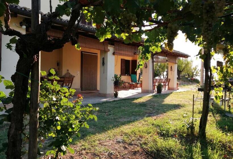 スタンダードルーム, B&b Conca Del Pretore