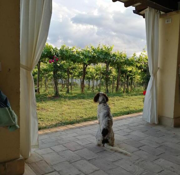 スタンダードトリプルルーム, B&b Conca Del Pretore