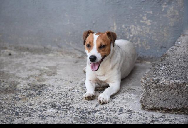חדר דלוקס, Ballyginniff Farm House