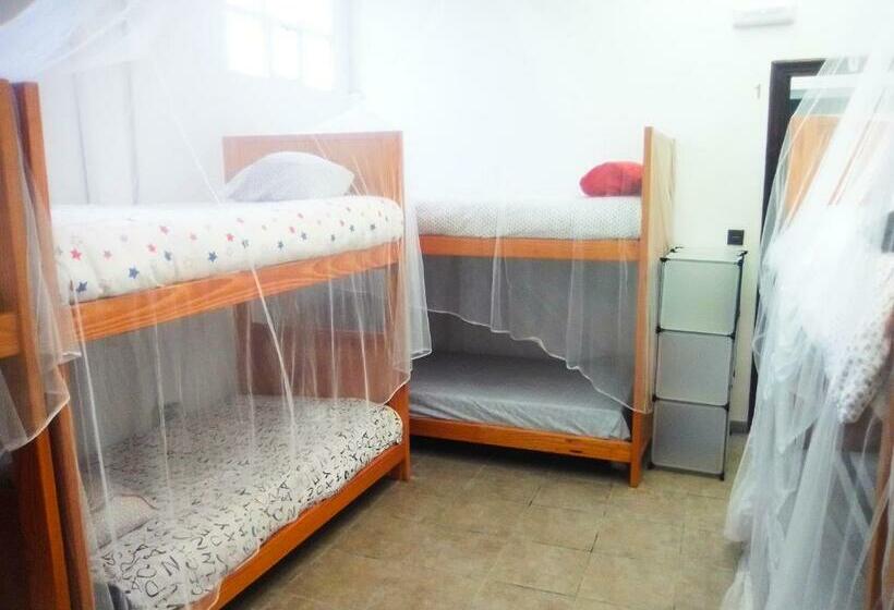 Кровать в Общей Комнате, Coruña Backpackers Hostel