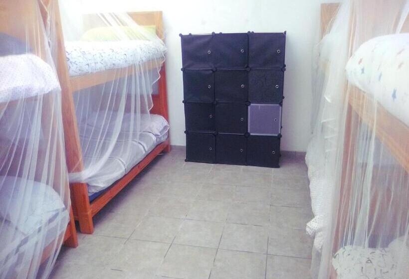 Кровать в Общей Комнате, Coruña Backpackers Hostel