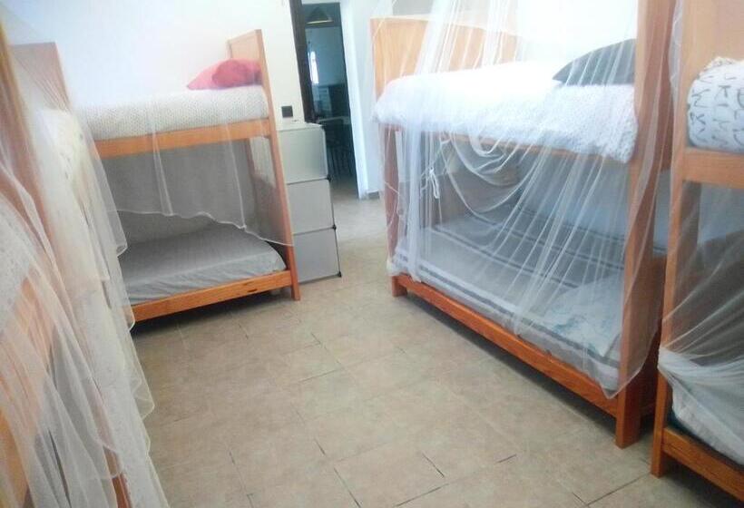 Кровать в Общей Комнате, Coruña Backpackers Hostel