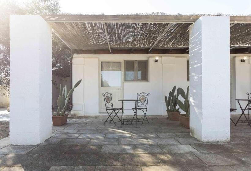 스탠다드 스튜디오, Eloka