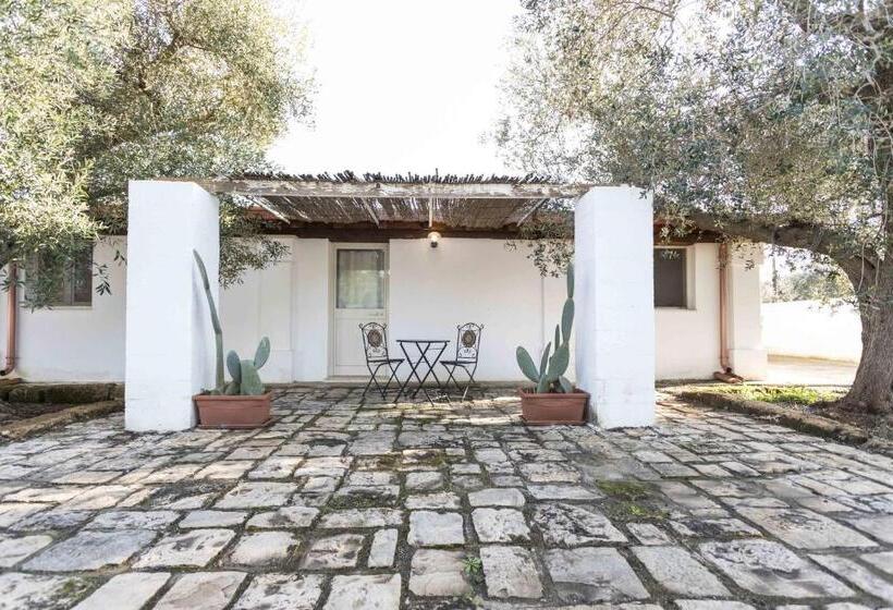 스탠다드 스튜디오 킹침대, Eloka