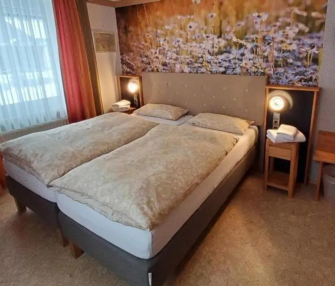 ガーデンビュースタンダードルーム, B & B Gästehaus Schmidt