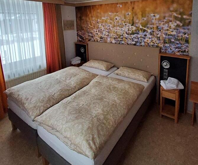 Номер Стандарт Вид на Сад, B & B Gästehaus Schmidt