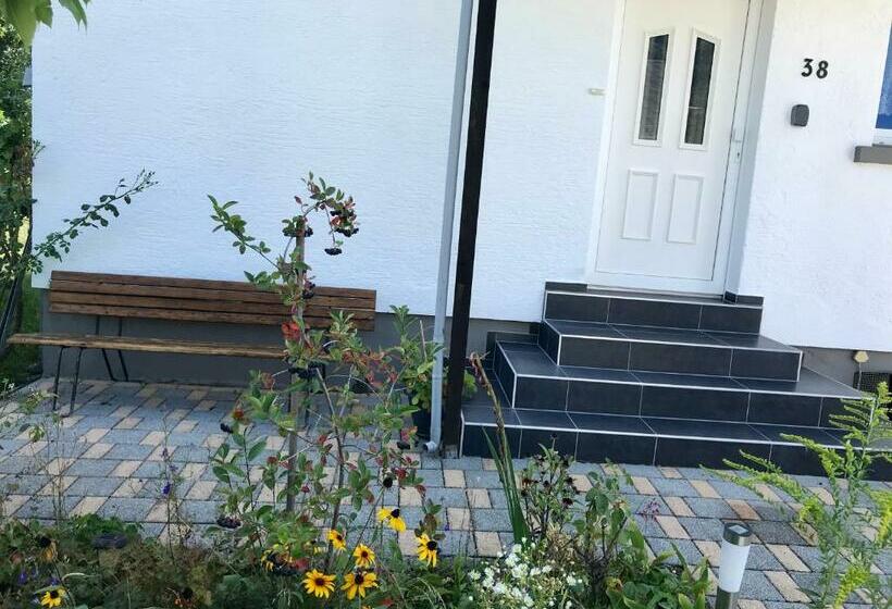 Одноместный Номер Basic, Juna