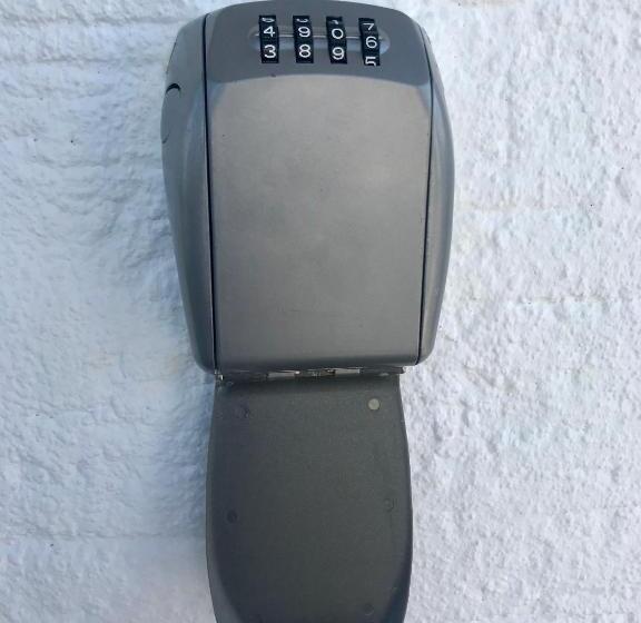 Номер Стандарт, Juna