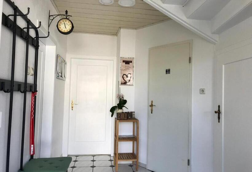 Номер Стандарт, Juna