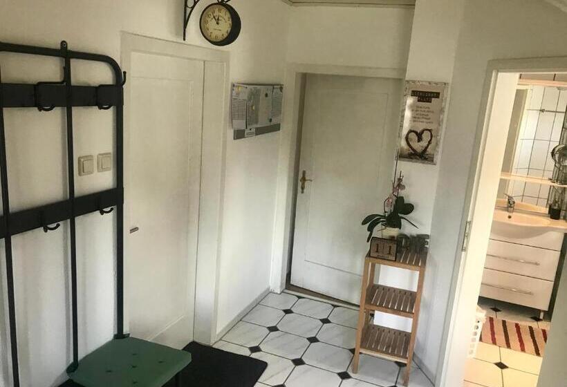 Номер Стандарт, Juna