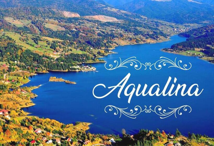 ویلای سوپریور 1 خوابه, Aqualina Colibita   Pe Malul Lacului