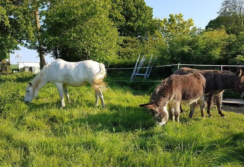 غرفة قياسية سرير كينج, La Bergerie Du Mesnil