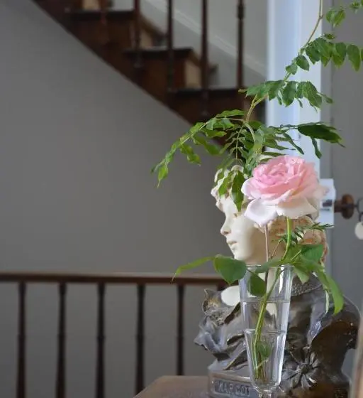 デラックスルーム, La Maison
