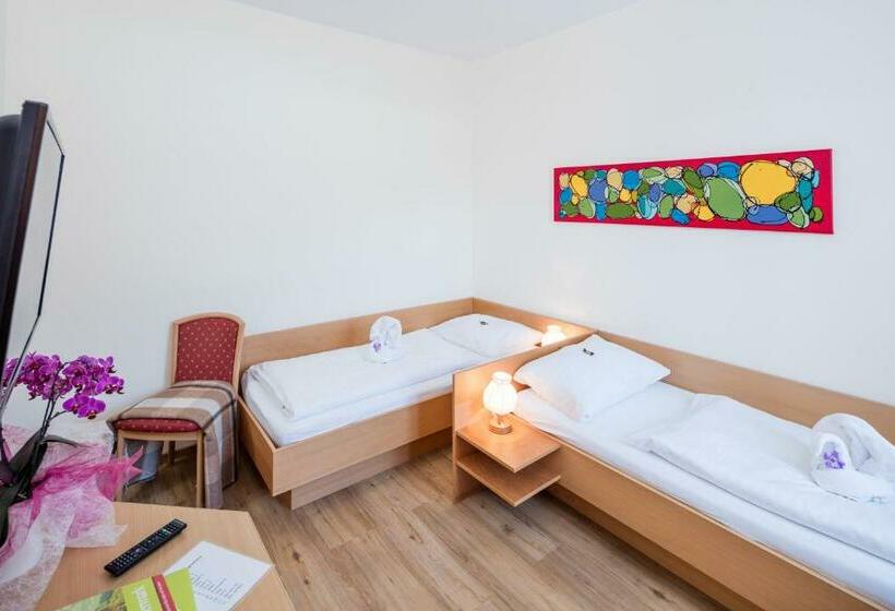 חדר סטנדרט, Gasthaus Pension Zum Lustigen Steirer