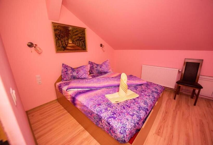 شقة غرفتين, Pensiunea Tavisa