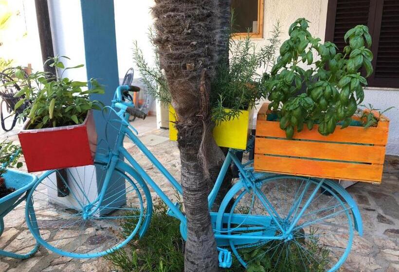 غرفة قياسية مطلّة علي حمام السباحة, Villa Dessena Guest House