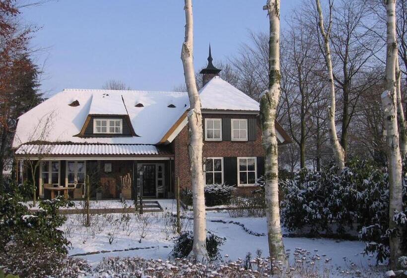 חדר אקונומי, B&b De Zeven Berken