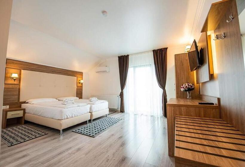 Номер Deluxe Одноместный, Pensiunea Carul Cu Flori